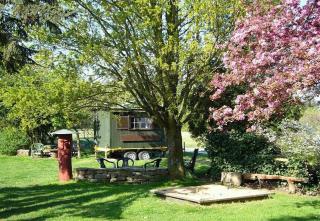 Gasthaus-Pension Zum Brandweiher - Amorbach - 2