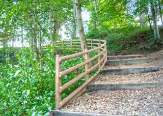 Witton Castle Country Park - Bishop Auckland - 6
