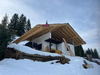 Panoramic hut in the ski area - 7