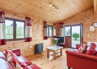 Trewythen Lodges - Caersws - 6