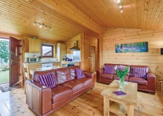 Trewythen Lodges - 1