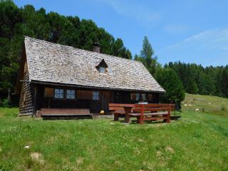Almhütte Ödenhübl - Katschwald - 3