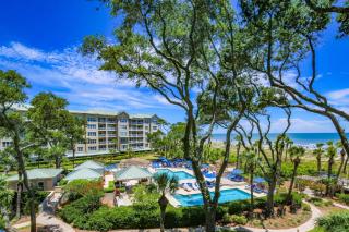 Bird of Paradise - Hilton Head Island - 6