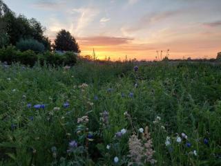 Holiday Home in Hollebeke with Private Garden - Zandvoorde - 7