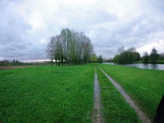 Spacious holiday home near the forest - Barricourt - 5