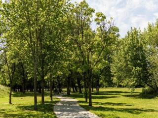 Holiday Home in Dax near Forest Trails - Dax - 6