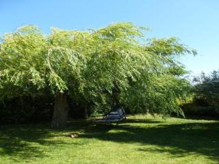 Mansion in Provence with Pool & Near Town - Valréas - 9