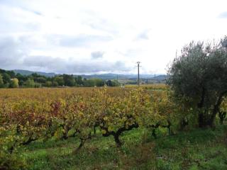 Mansion in Provence with Pool & Near Town - Valréas - 5
