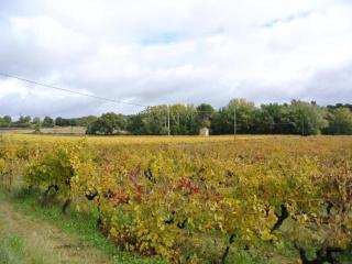 Mansion in Provence with Pool & Near Town - Valréas - 4