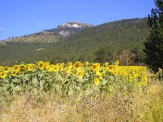 Cosy holiday home with garden - Ponet-et-Saint-Auban - 8