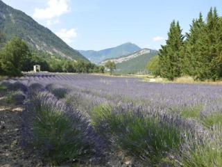 Cosy holiday home with garden - Ponet-et-Saint-Auban - 3