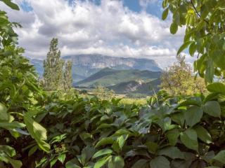 Cosy holiday home with garden - Ponet-et-Saint-Auban - 1