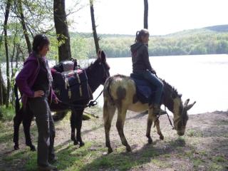 Holiday Home in Grand Est - 1