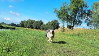 Küstenkind Dorum mit Sauna und Balkon - Hunde willkommen - Dorum - 3