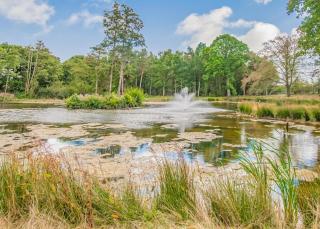 Woodland Lakes Boutique Lodges - - 5