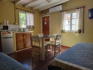 MI CASA APARTS - Tunuyán - 0