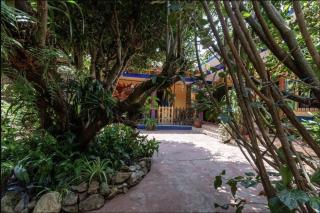 Qhia coliving - San Cristóbal de Las Casas - 7