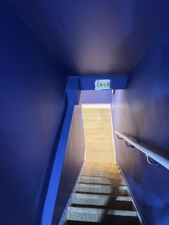 The Squid Escape by Station - Cambridge - 9