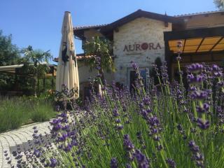 Aurora Panzió - 9