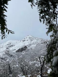 Suite de Montaña - 2