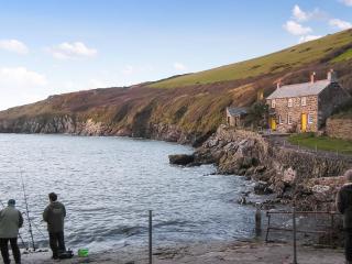 Downhouse Cottage - Delabole - 6