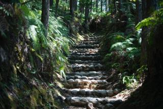 ikkyu rental vacation house - - 9