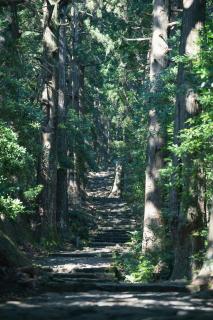 シングウノイエ【貸切】熊野古道　速玉大社　那智の滝　神倉神社　マグロ　和歌山ラーメン - 9