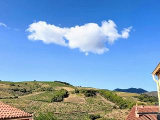 Villa spacieuse à Banyuls-sur-Mer, 6 personnes - FR-1-309-532 - Banyuls-sur-Mer - 0