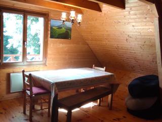 Chalet authentique au cœur de la nature près de Super Besse - FR-1-814-143 - Besse-et-Saint-Anastaise - 8