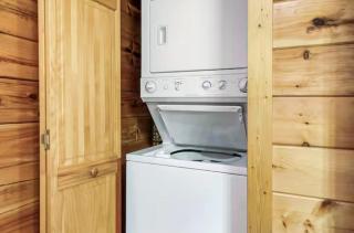 Rosey Bear - Sevierville - 7