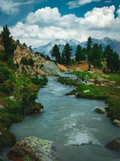 BOJOL Guesthouse Bilamick - - 6