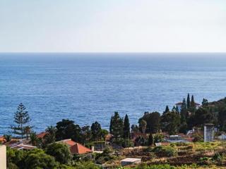 Villa in Madeira with Mountain Views - Santo da Serra - 8