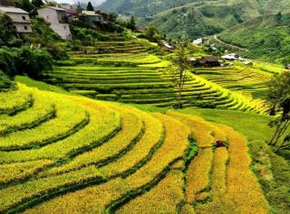 MT House Sa Pa - Mountain & Terraced fields View And Trekking Tour - Sapa - 7