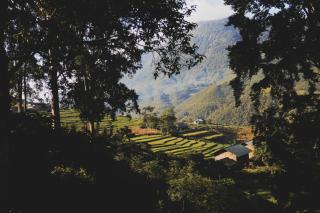 MT House Sa Pa - Mountain & Terraced fields View And Trekking Tour - Sapa - 8