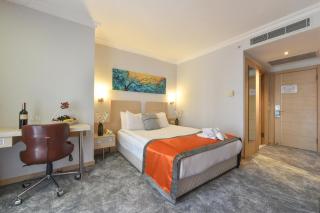 Midas Hotel - Ankara - 2
