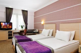 Midas Hotel - Ankara - 6