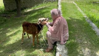 Aman E Yal - Gilgit - 1