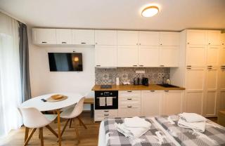 Studio Sumava-Bayerischer Wald - Philippsreut - 7