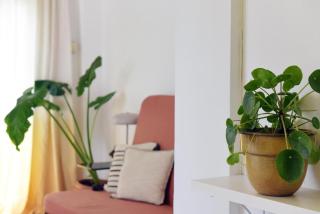 The Acropolis Apartment - Athen - 4