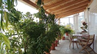 The Acropolis Apartment - Athen - 7