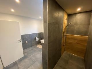 Ferienwohnung Hopfenblick Dachterasse 3SZ Bodenseeregion - Tettnang - 9