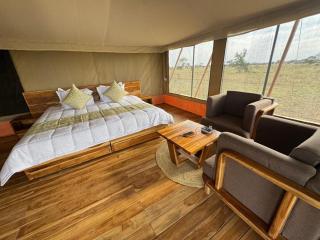 Dove Serengeti Luxury Camp - 9