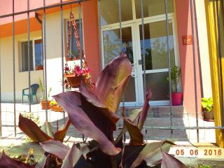 Sveti Georgi Guest House - 8