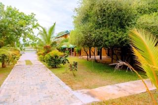 Bundala Bird View - Hambantota - 7