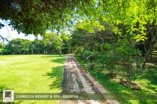 Camellia Resort And Spa Sigiriya - Sri Lanka - Avudangawa - 7