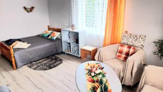 Ciemos pie Ingas - 9