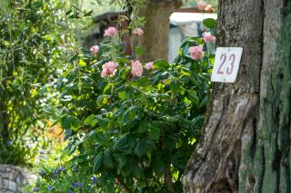 Monja Camping Village - 9