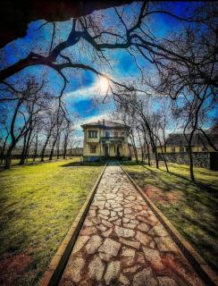QUEEN MARIA Apartments - Demir Kapija - 9