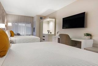 Cambria Hotel Plymouth - Plymouth - 2