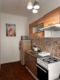 Family & Group Flat with Terrace near Main Station - Brno - 9